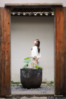柒个我下载